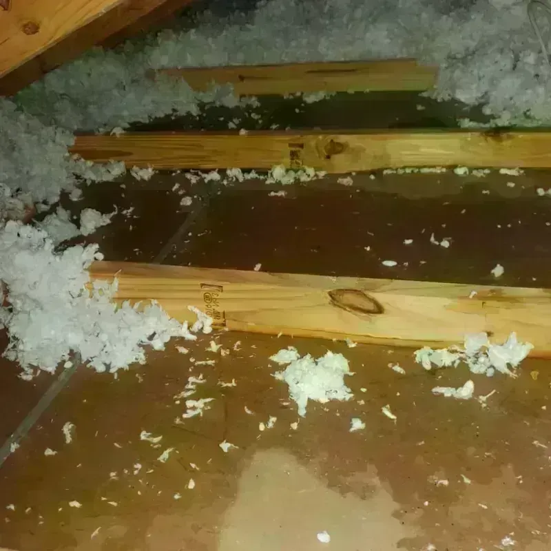 Attic Water Damage in Gretna, NE