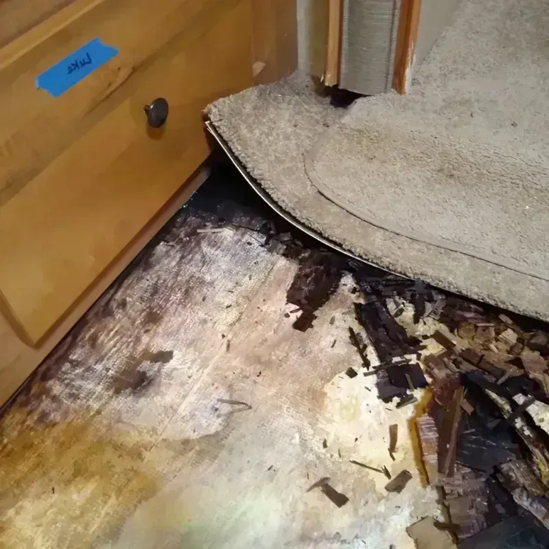 Best Wood Floor Water Damage Service in Gretna, NE